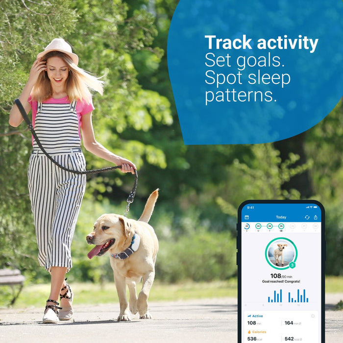 Tractive GPS Dog 4 Tracker Tracker Tractive
