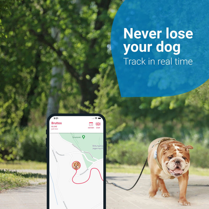 Tractive GPS Dog 4 Tracker Tracker Tractive