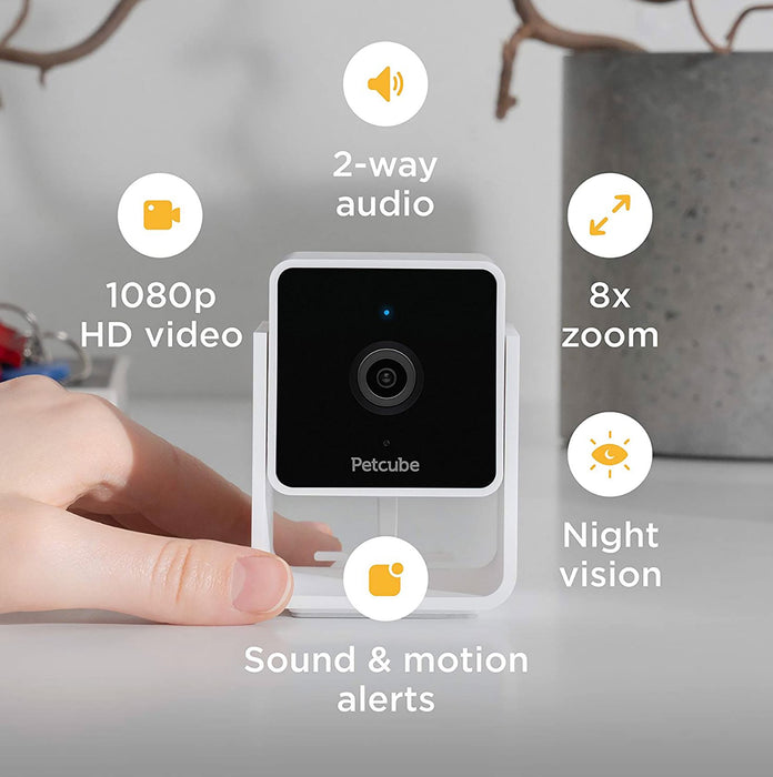 Petcube Camera Camera Petcube