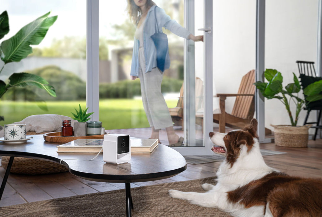 Petcube Camera Camera Petcube