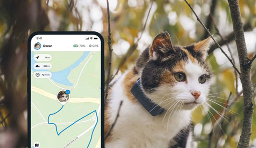 Tractive GPS Tracker CAT - Midnight Blue Tracker Tractive