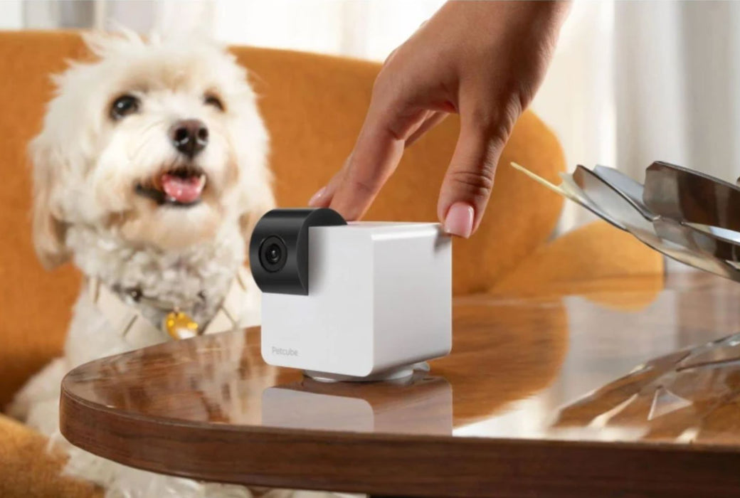 Petcube Cam 360 Camera Petcube