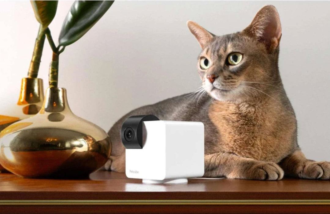 Petcube Cam 360 Camera Petcube