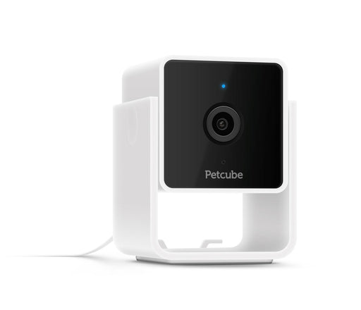 Petcube Camera Camera Petcube 
