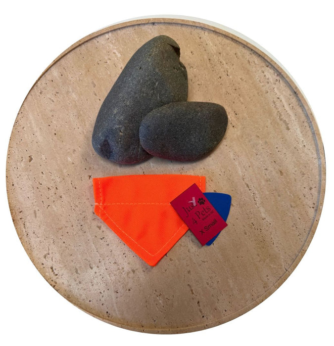 Hi Vis Pet Bandanas Bandanas Just 4 Pets XS Orange 