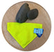 Hi Vis Pet Bandanas Bandanas Just 4 Pets 