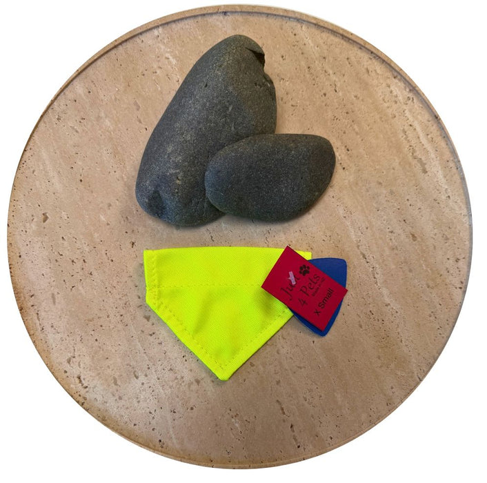 Hi Vis Pet Bandanas Bandanas Just 4 Pets XS Yellow 