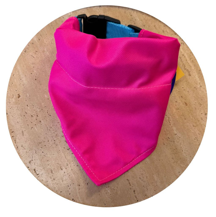 Hi Vis Pet Bandanas Bandanas Just 4 Pets 