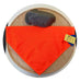 Hi Vis Pet Bandanas Bandanas Just 4 Pets L Orange 