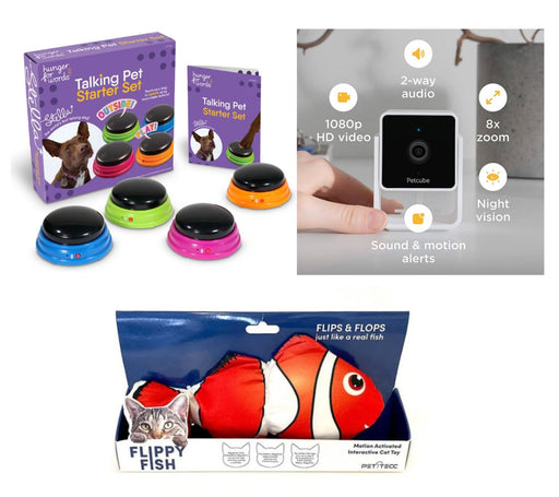 Pet Kit Bundle - Petcube Camera, Flippy fish & Talking Starter Kit Camera Petcube 