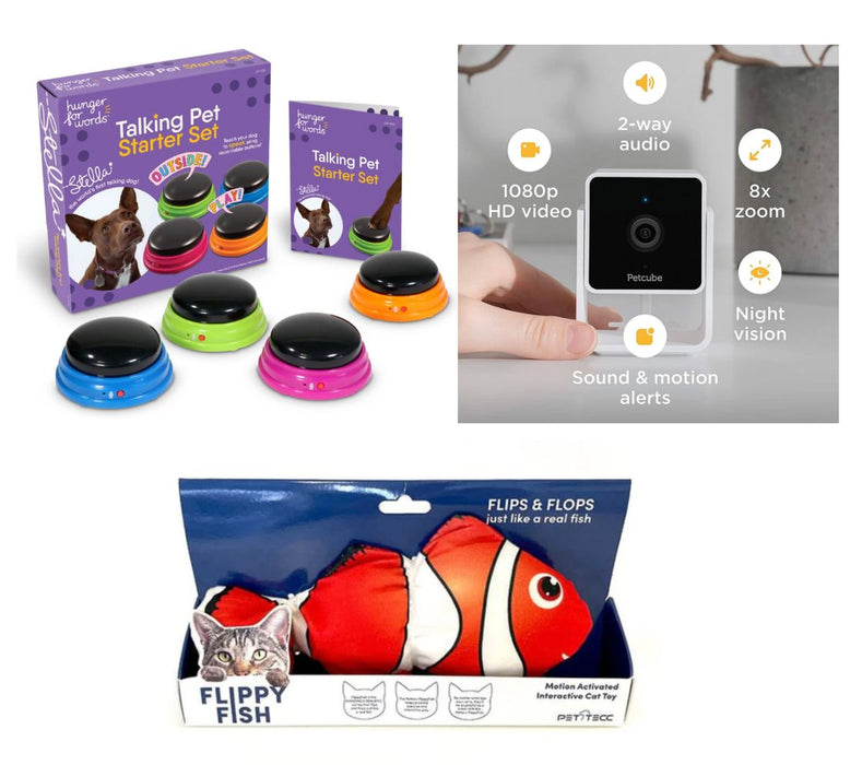 Pet Kit Bundle - Petcube Camera, Flippy fish & Talking Starter Kit Camera Petcube 