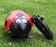 Crazy Jittery RC Lady Bug 3 month warranty applies Tech Outlet 